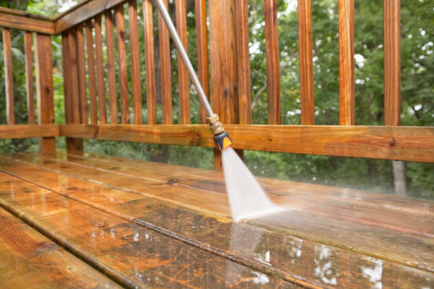 Best Roof Washing  in Cole Camp, MO